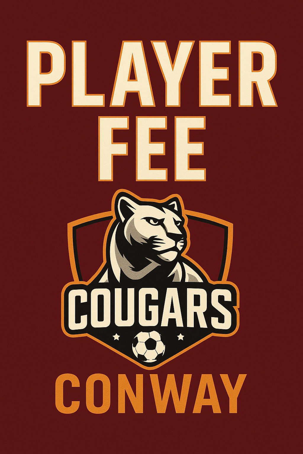 PLAYER FEE-PLAYERS ONLY!!!!!!!!!!!!!!!!!!!!